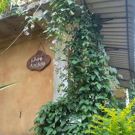 White Arcadia Cottage Элла Экстерьер фото