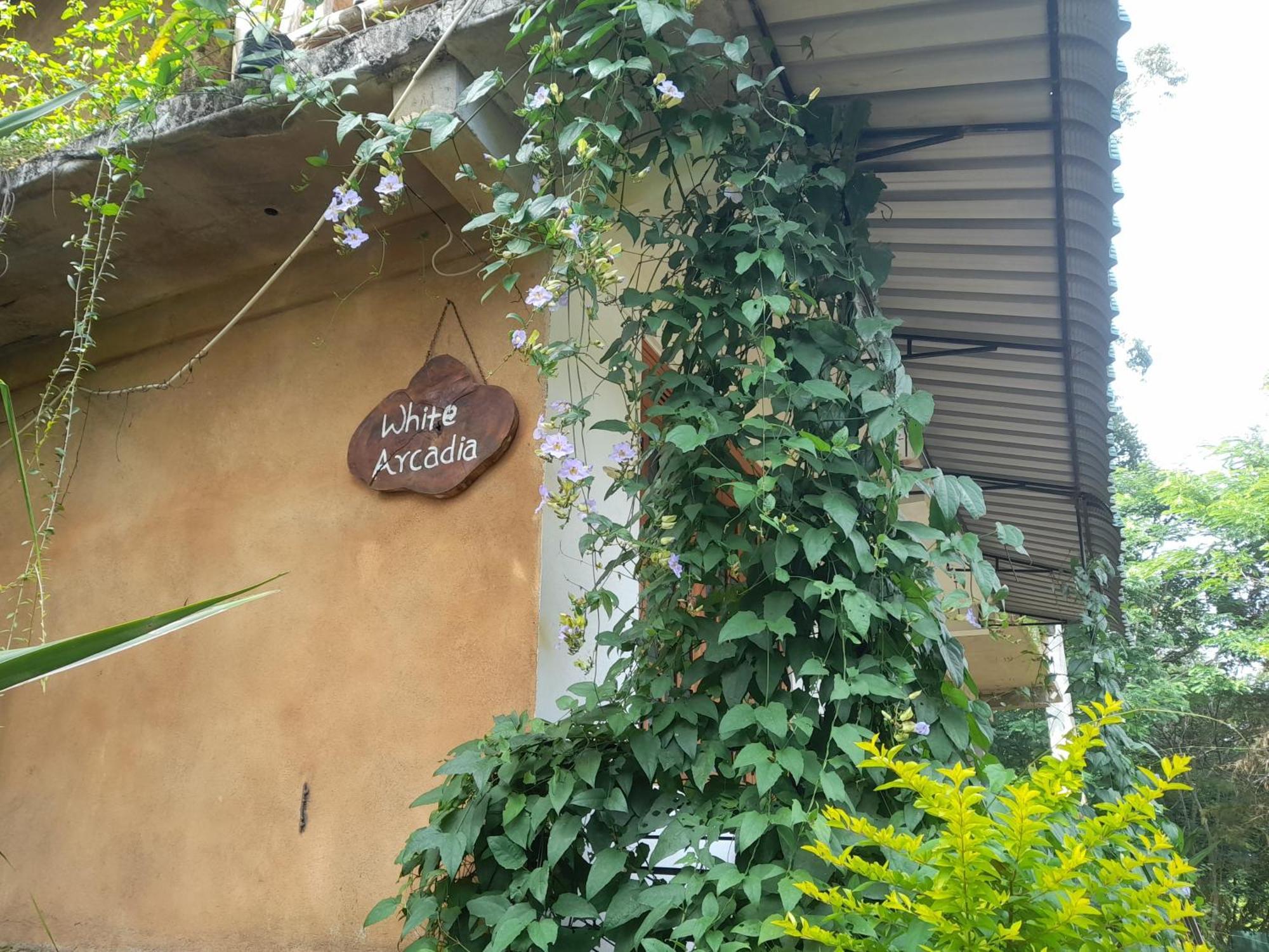 White Arcadia Cottage Элла Экстерьер фото